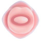 Blush Collection Kissing Rose-Pink