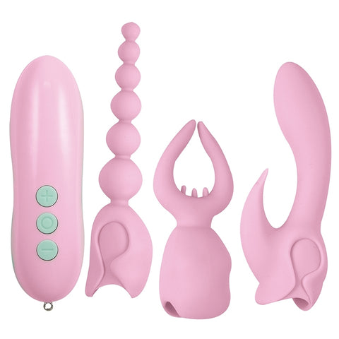 Pink Elite Collection Ultimate Orgasm Kit-Pink