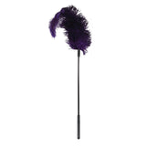 Ostrich Tickler - Covenant Spice
 - 2