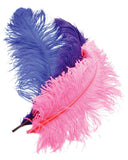 Deluxe Plumes-Large - Covenant Spice
